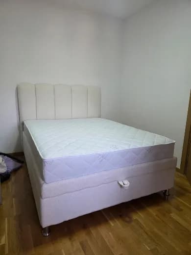 Elit Box Teddy — Teddy 2